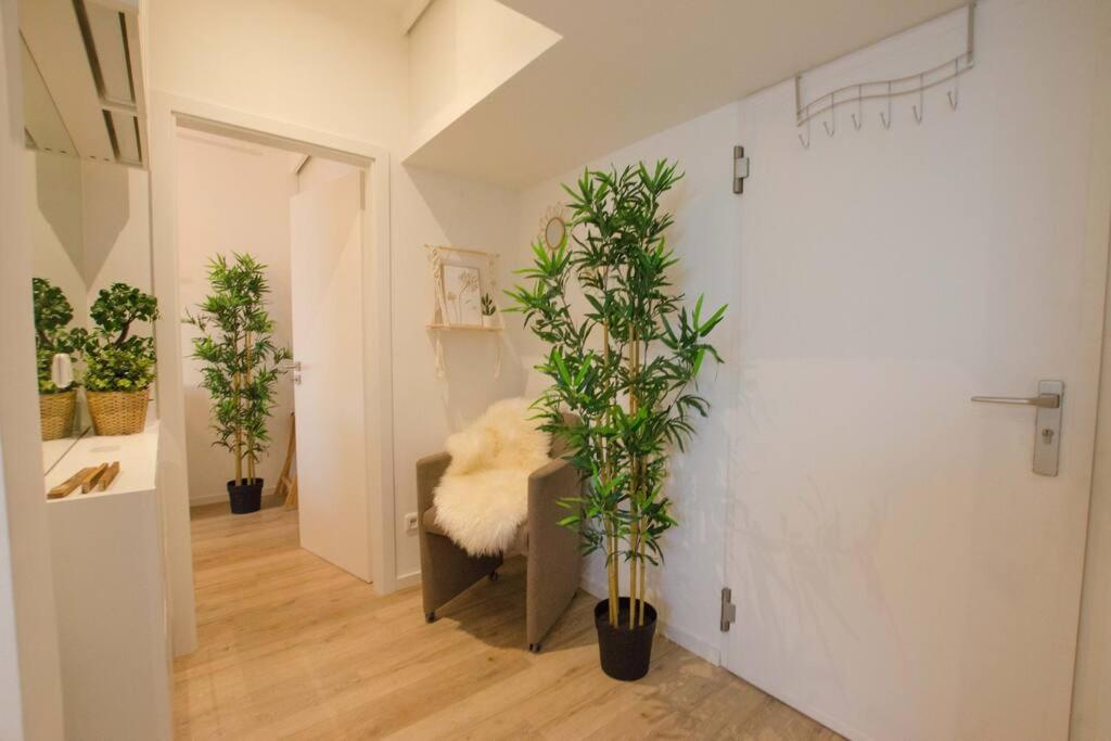 Casarina - Gemuetliches Apartment Im Zentrum Augsburg Kültér fotó